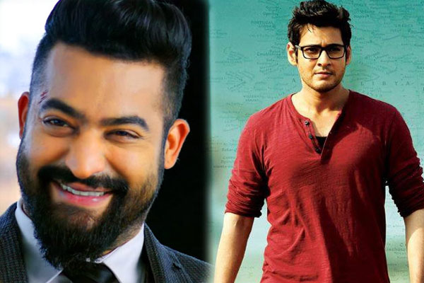 jr ntr,mahesh babu,ntr movie with mahesh babu directors,fans sentiment  తారక్ కి మహేష్ దర్శకులపై అంత నమ్మకమా?